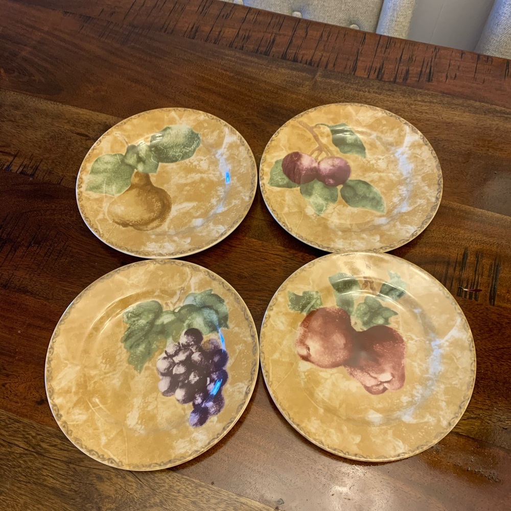 Set of 4 Cheri Blum Cortland Dinner Plates by 222 Fifth